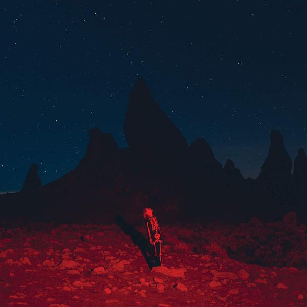 <b>Phoebe Bridgers </b><br><i>Punisher [Red and Swirly Vinyl] [Damaged Jackets, PLEASE Read Description Before Buying]</i>