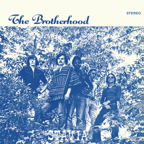 The Brotherhood - Stavia