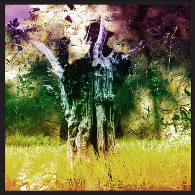 Animal Collective - Meeting Of The Waters