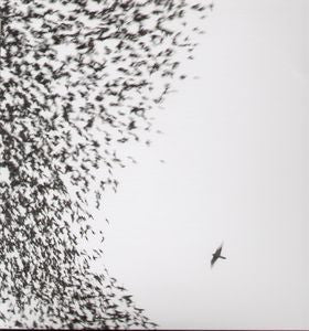 Wilco - Sky Blue Sky