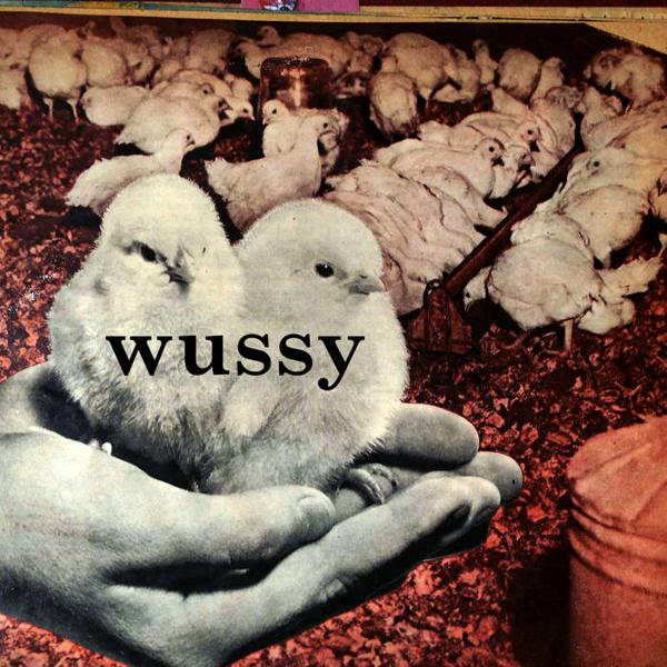 <b>Wussy </b><br><i>Wussy</i>