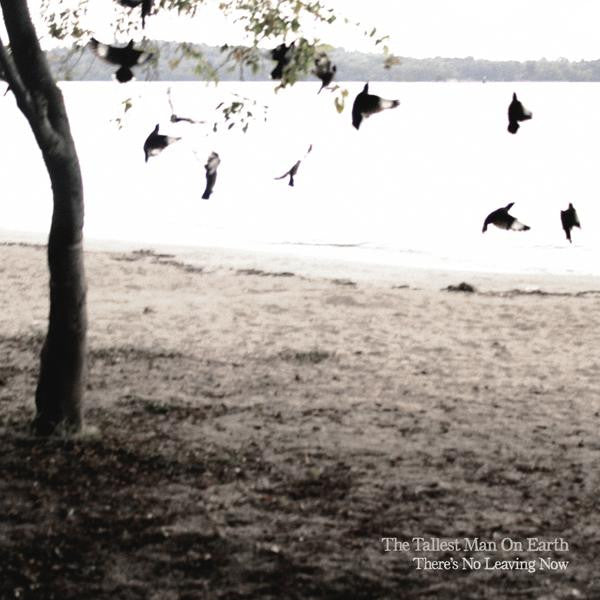Tallest Man On Earth, The - There's No Leaving Now