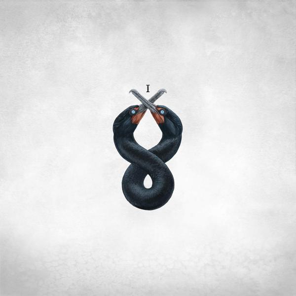 San Fermin - The Cormorant I