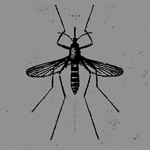Isis - Mosquito Control