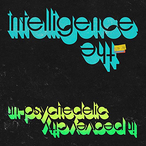 The Intelligence - Un-Psychedelic in Peavey City