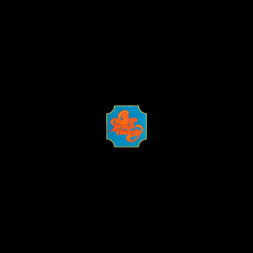 Chicago - Chicago Transit Authority