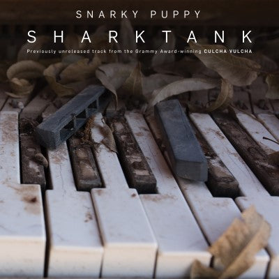 Snarky Puppy - Sharktank