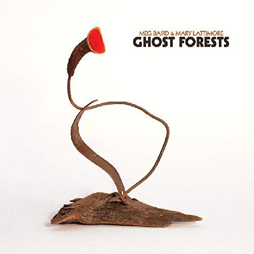 Meg Baird & Mary Lattimore - Ghost Forests [Indie-Exclusive Coke Bottle Clear Vinyl]