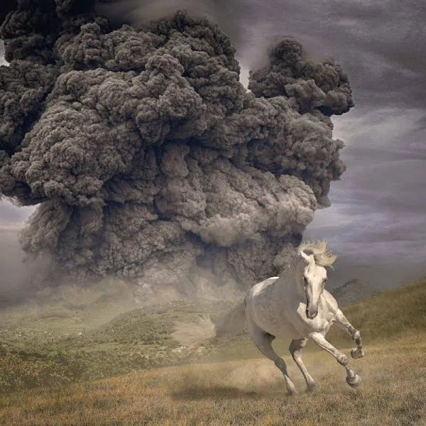 The White Buffalo - Year Of The Dark Horse [Blue Vinyl]